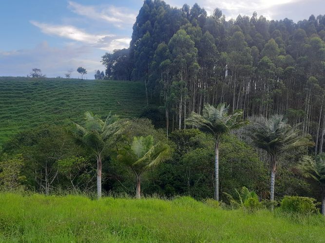 Finca en Venta en Llanadas, Circasia - Miniatura 13