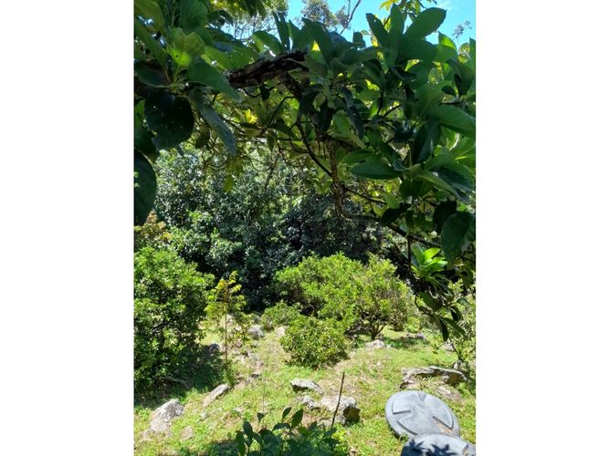Finca en Venta en Barbosa - Miniatura 17
