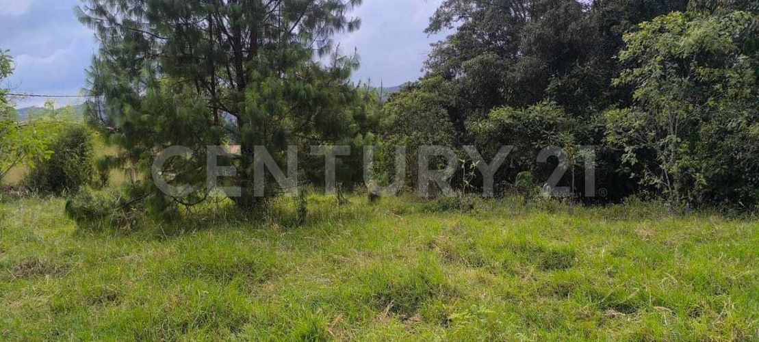 Finca en  Arriendo en Suroriente, Medellín - Miniatura 10