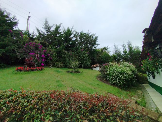 Finca en  Arriendo en La ceja - Miniatura 4