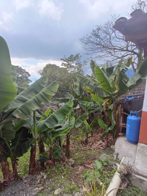 Casa en Arriendo en Envigado - Miniatura 12