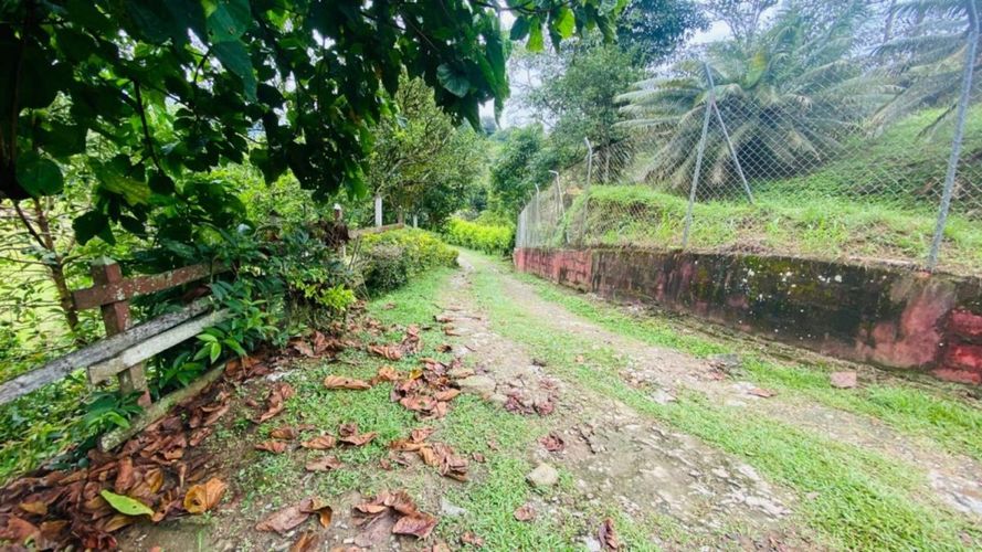 Finca en Arriendo en Santo domingo - Miniatura 19