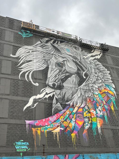 LIVING 97, Apartaestudios en Venta en San javier no.1, Medellín - Miniatura 2