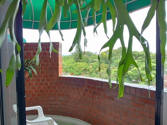 Apartamento en Venta en El refugio, Cali - Miniatura 8