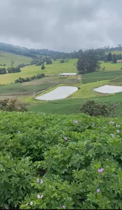 Finca en  Venta en Subachoque - Miniatura 3