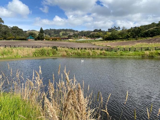Finca en  Venta en Subachoque - Miniatura 6