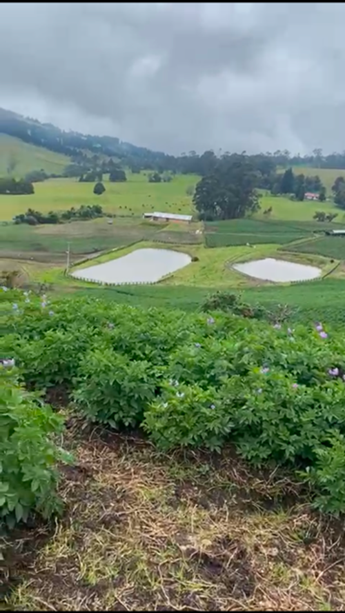 Finca en  Venta en Subachoque - Miniatura 23