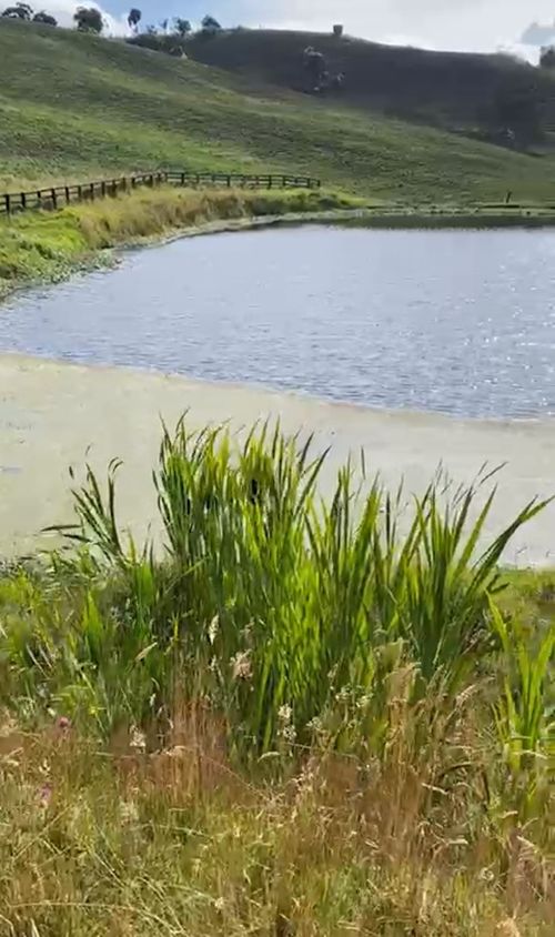 Finca en  Venta en Subachoque - Miniatura 26