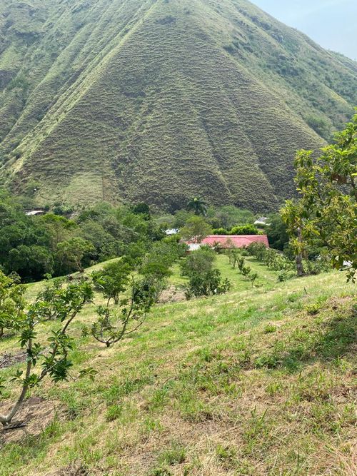 Finca en  Venta en Vijes - Imagen 1