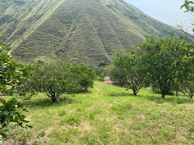 Finca en  Venta en Vijes - Miniatura 2