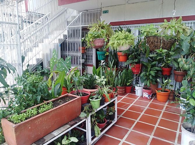 Edificio en  Venta en Primitivo crespo, Cali - Miniatura 3