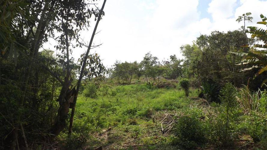 Finca en  Venta en El carmen, Dagua - Miniatura 28