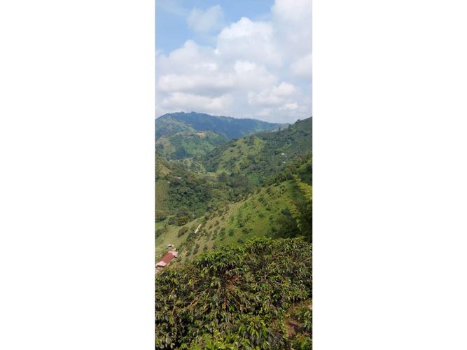 Finca en Venta en Manizales - Miniatura 2