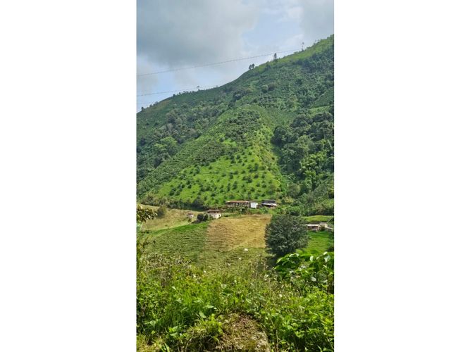 Finca en Venta en Manizales - Miniatura 7