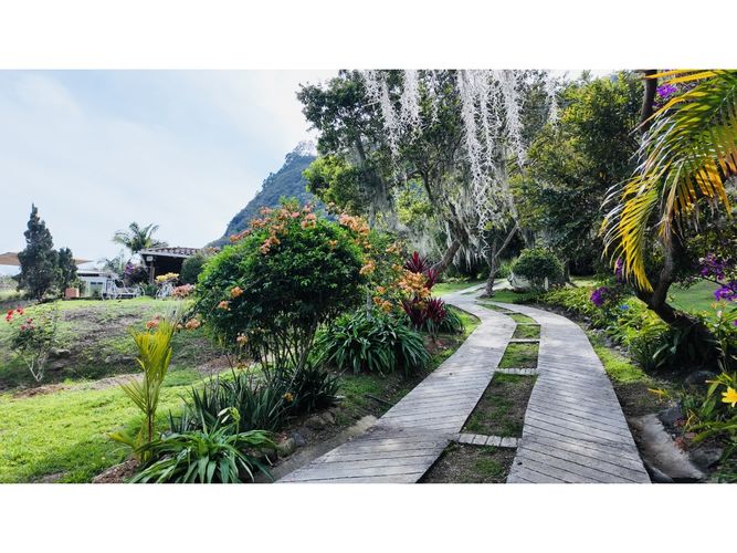 Finca en Arriendo en Copacabana - Miniatura 23