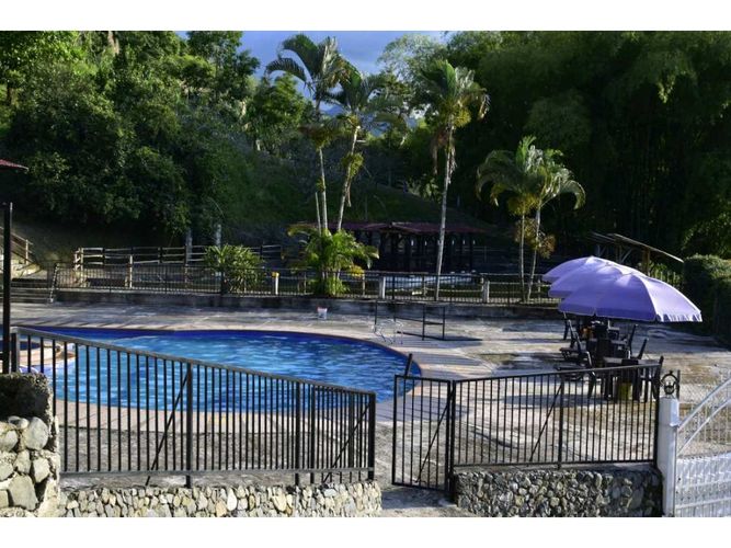 Finca en Venta en Manizales - Miniatura 12
