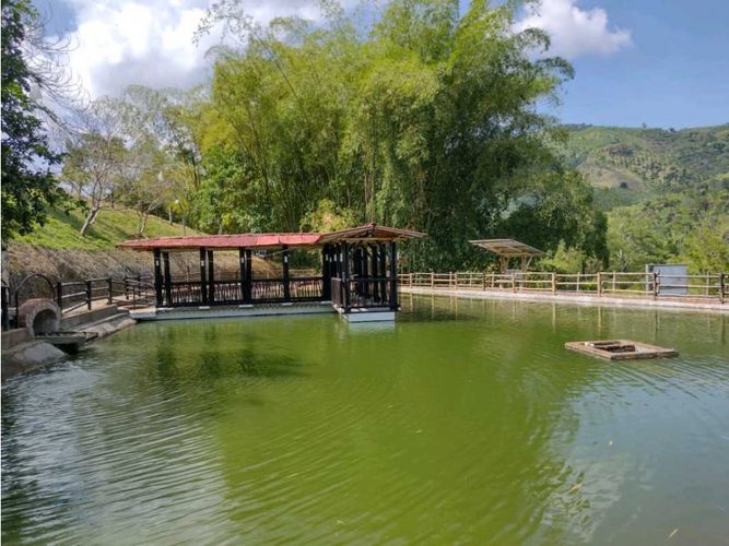 Finca en Venta en Manizales - Miniatura 20