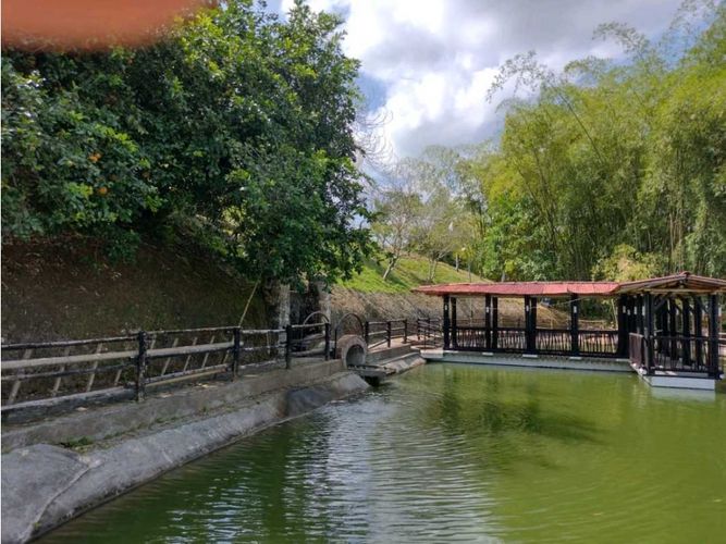 Finca en Venta en Manizales - Miniatura 21