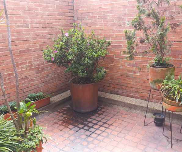 Casa en Arriendo en Maranta iii sector, Bogotá - Miniatura 29