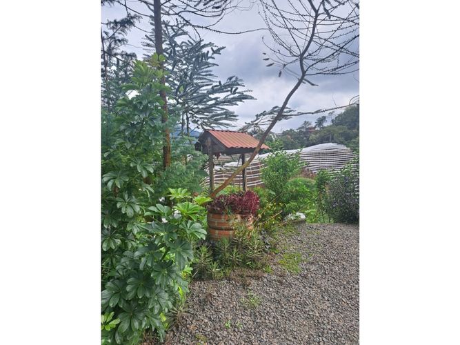 Finca en Venta en Santa rosa de cabal - Miniatura 13