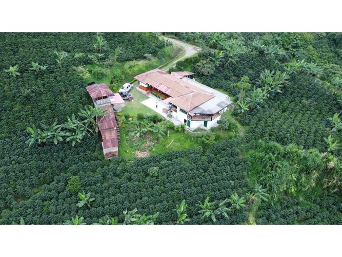 Finca en Venta en Santa rosa de cabal - Miniatura 2