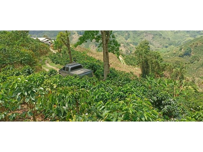 Finca en Venta en Santa rosa de cabal - Miniatura 15