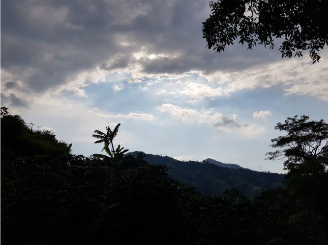 Finca en Venta en Santa rosa de cabal - Miniatura 16