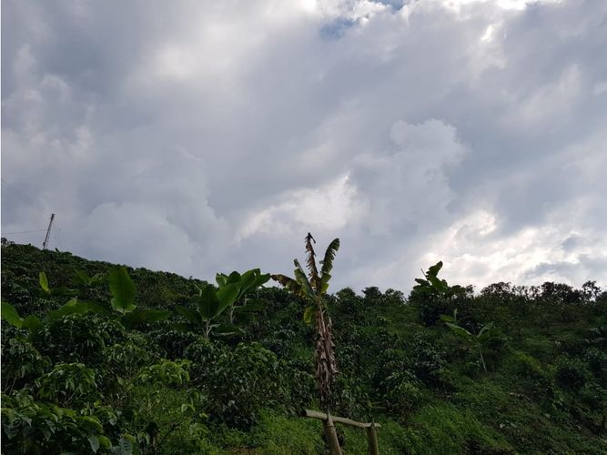 Finca en Venta en Santa rosa de cabal - Miniatura 17