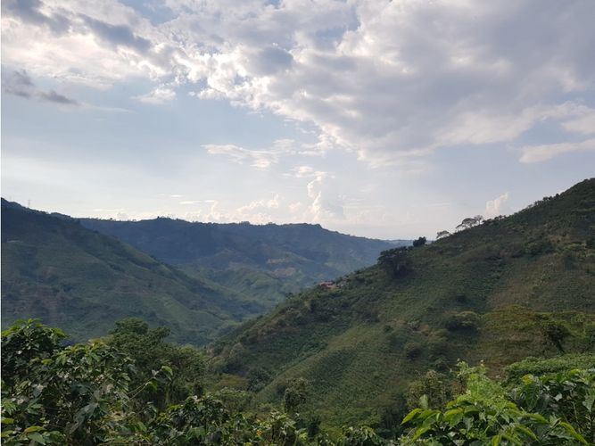Finca en Venta en Santa rosa de cabal - Miniatura 18
