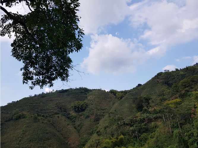 Finca en Venta en Santa rosa de cabal - Miniatura 20
