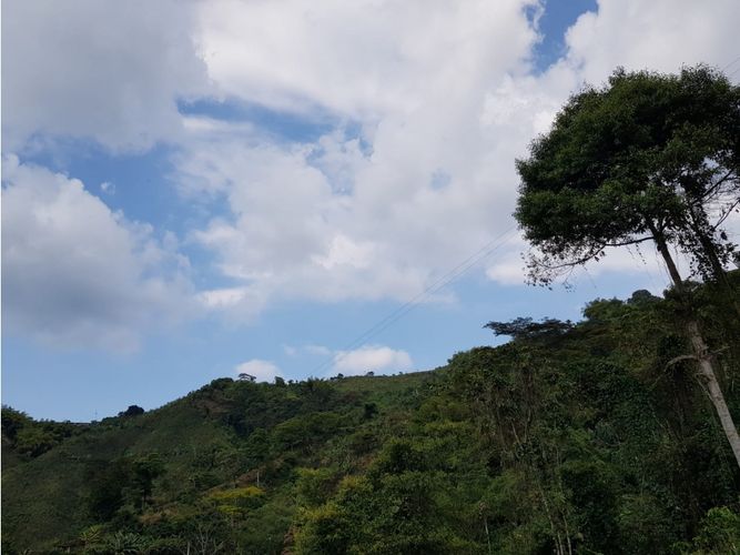 Finca en Venta en Santa rosa de cabal - Miniatura 21