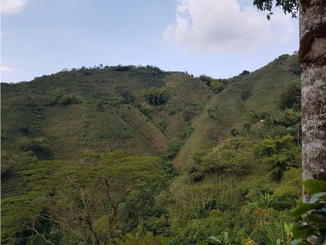 Finca en Venta en Santa rosa de cabal - Miniatura 22