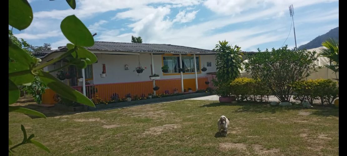 Finca en Venta en Dosquebradas - Miniatura 3