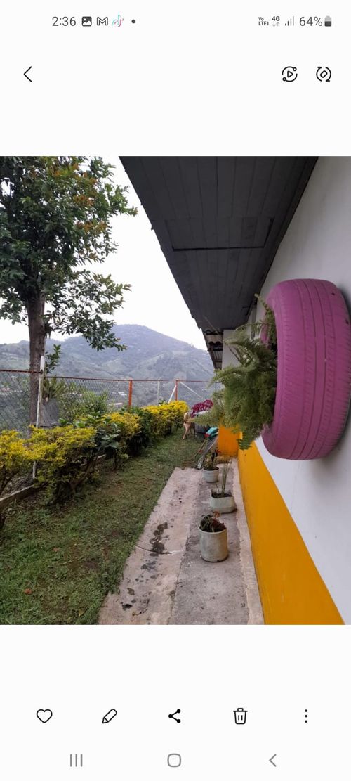 Finca en Venta en Dosquebradas - Miniatura 6