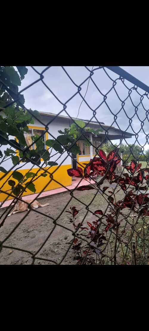 Finca en Venta en Dosquebradas - Miniatura 10