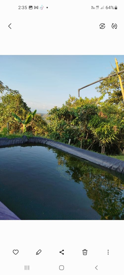 Finca en Venta en Dosquebradas - Miniatura 18