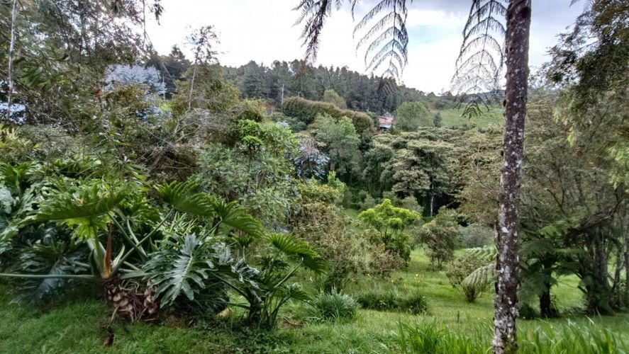 Finca en Venta en Loma del Escobero, Envigado - Miniatura 16