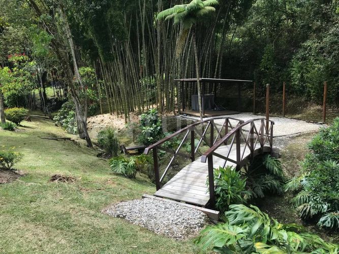 Finca en Venta en Suroriente, El carmen de viboral - Miniatura 22