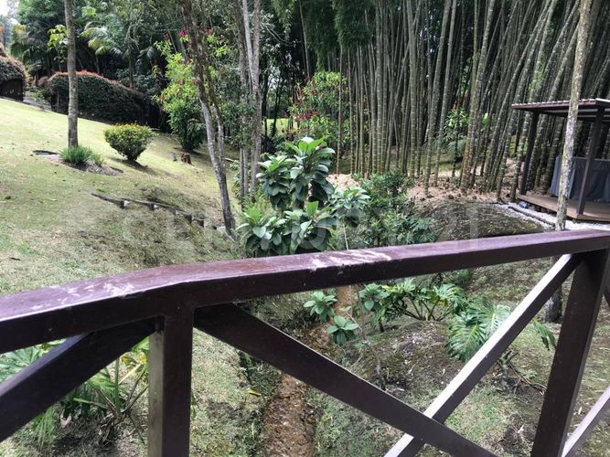 Finca en Venta en Suroriente, El carmen de viboral - Miniatura 23