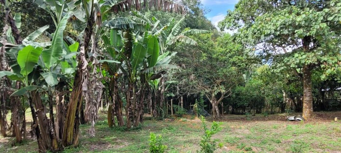Finca en venta en La cumbre - Miniatura 20