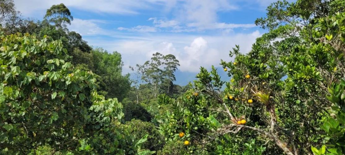 Finca en venta en La cumbre - Miniatura 21