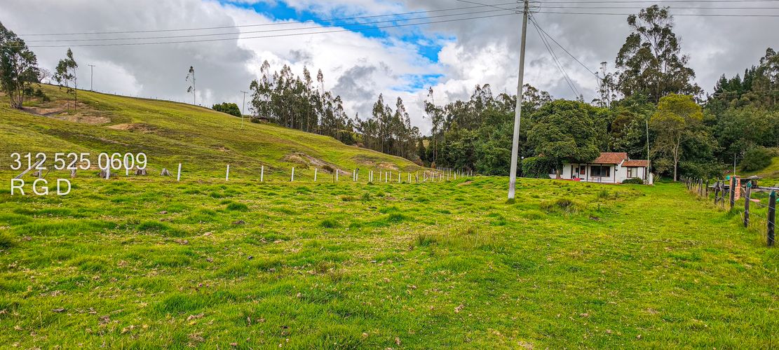 Finca en Venta - Miniatura 7