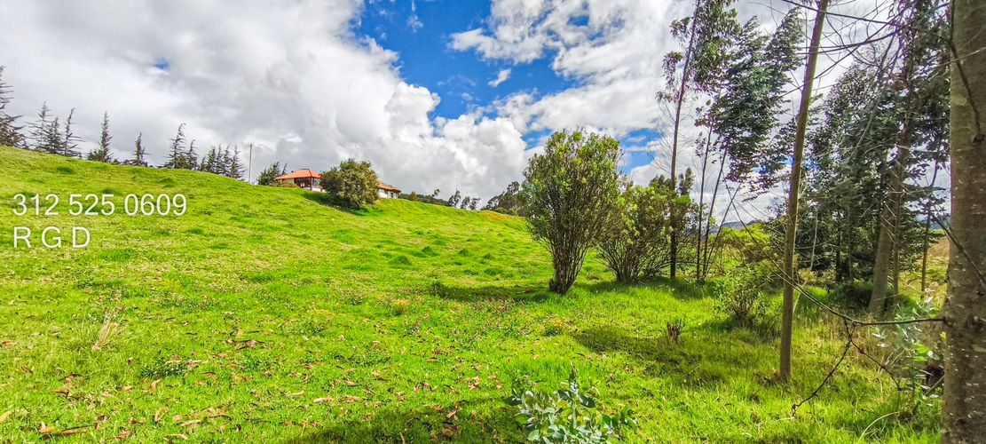 Finca en Venta - Miniatura 6