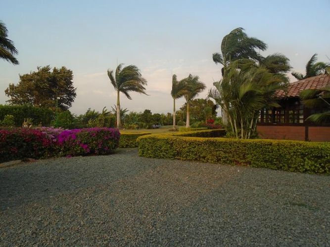 Finca en arriendo en Palmira - Miniatura 24