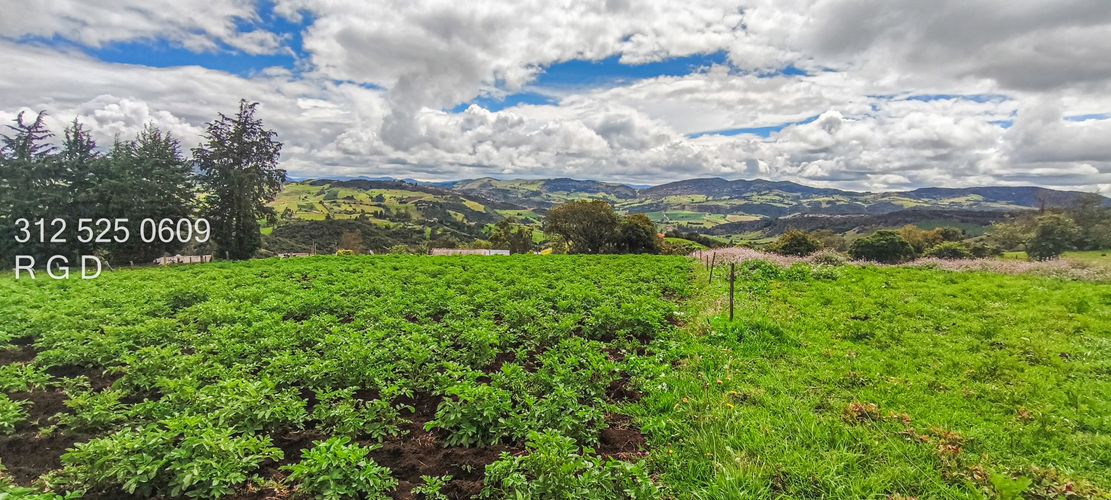 Finca en Venta - Miniatura 3