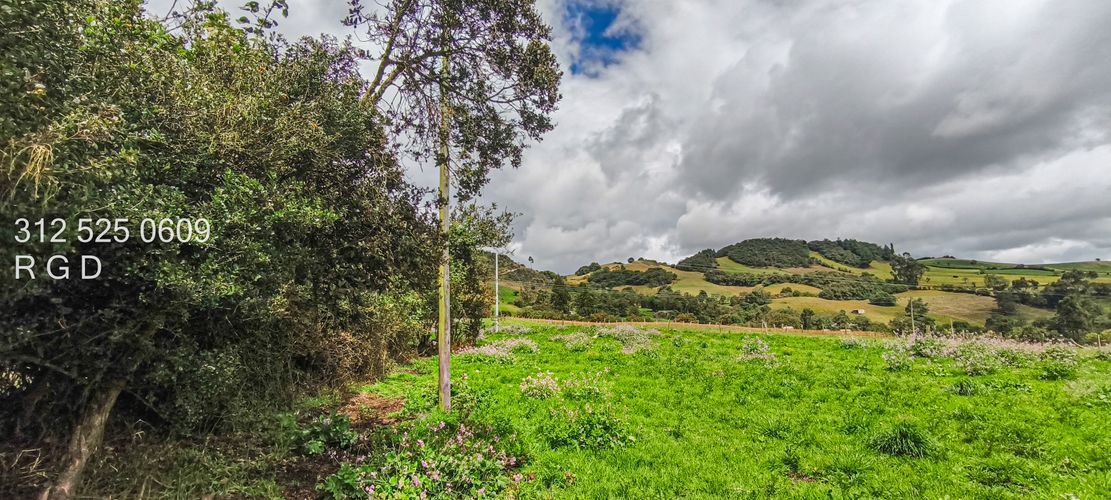 Finca en Venta - Miniatura 4