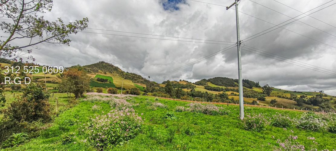 Finca en Venta - Miniatura 5