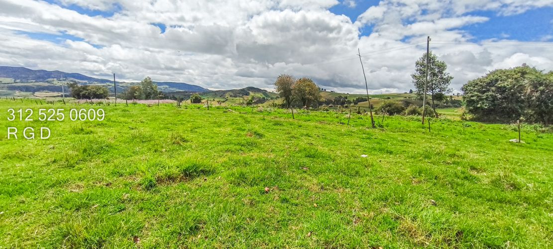 Finca en Venta - Miniatura 6