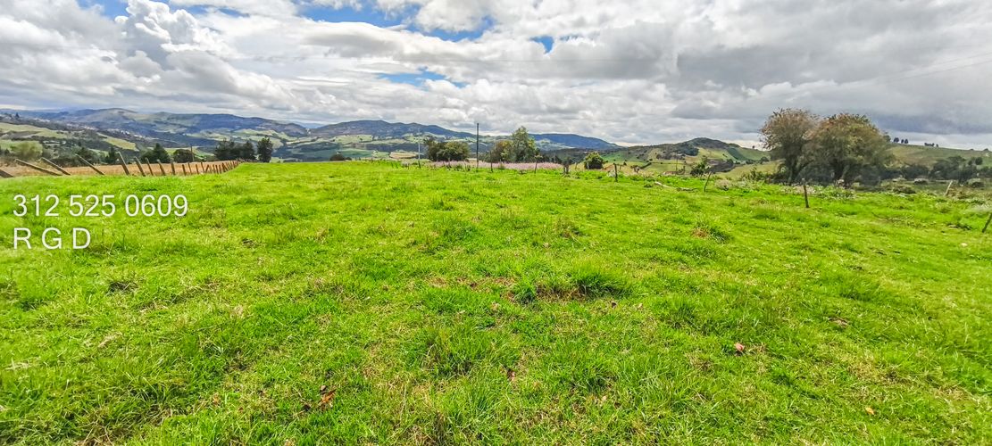 Finca en Venta - Miniatura 8