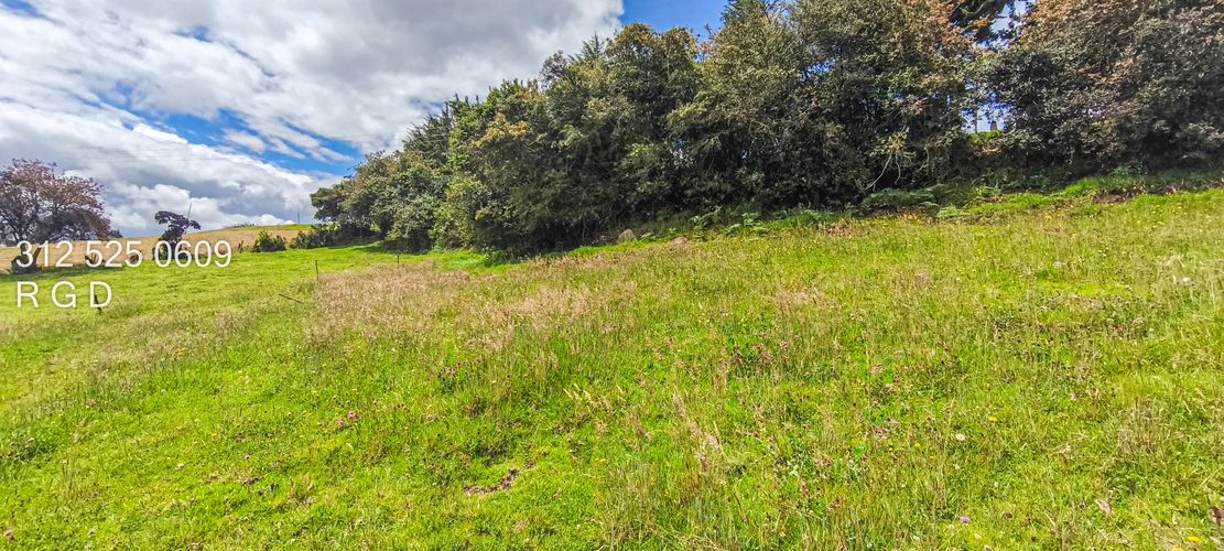 Finca en Venta - Miniatura 9